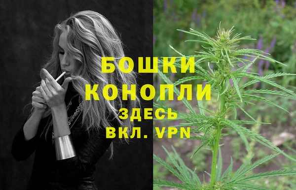 трава Архангельск