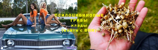 каннабис Аркадак